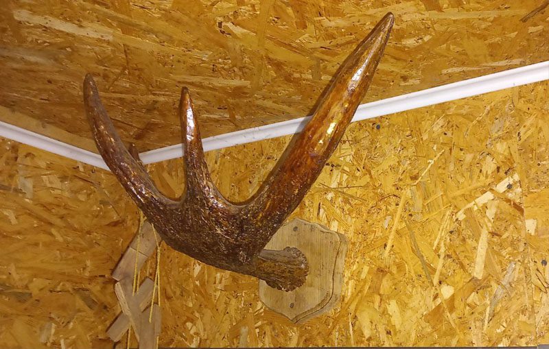 Обычный человек создал необычный музей в Костюковичском районе Обычный человек создал необычный музей в Костюковичском районе