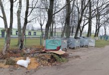 Подход к отходам: как решить проблему со стихийными свалками