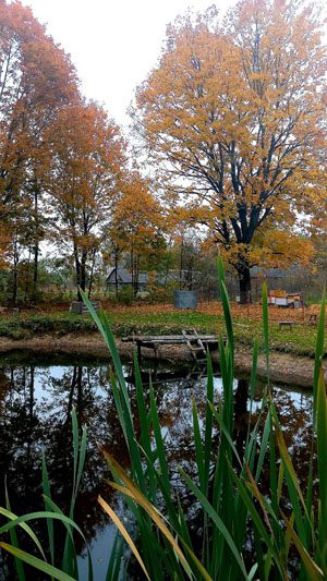 Обычный человек создал необычный музей в Костюковичском районе Обычный человек создал необычный музей в Костюковичском районе