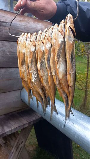 Обычный человек создал необычный музей в Костюковичском районе Обычный человек создал необычный музей в Костюковичском районе