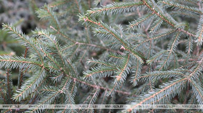 000022_1765289051_753264_big