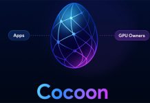 Дуров запустил децентрализованную сеть Cocoon