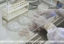 В Конго зафиксирована крупнейшая за 25 лет вспышка холеры