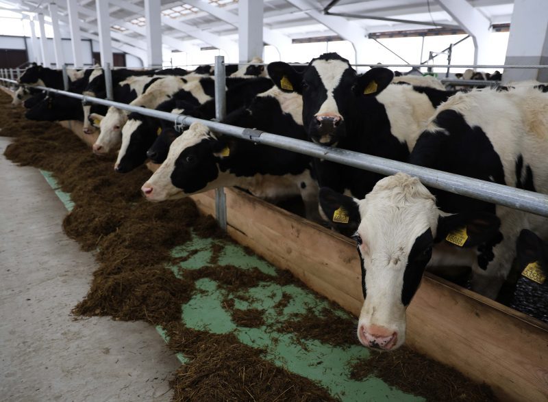 Новый МТК открылся в Костюковичском районе