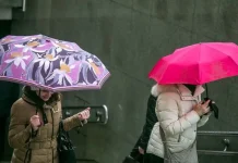 Белорусам рассказали важные нюансы о графике отпусков: что следует знать всем