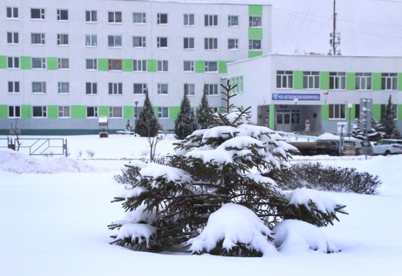 ФОТОФАКТ: Костюковичи не сдаются снежной стихии