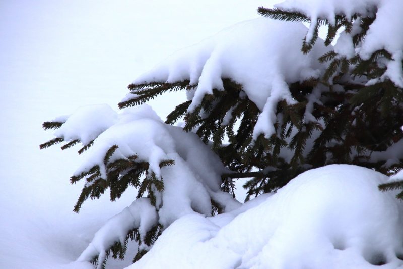 ФОТОФАКТ: Костюковичи не сдаются снежной стихии