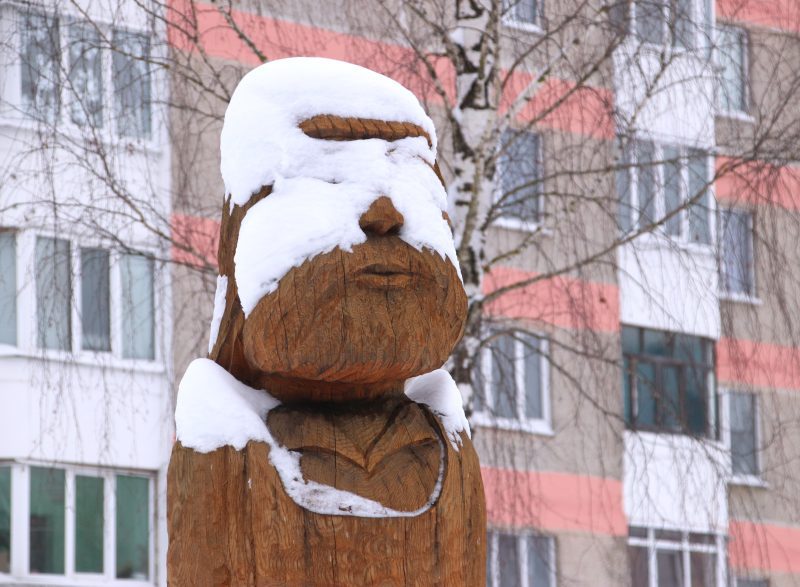 ФОТОФАКТ: Костюковичи не сдаются снежной стихии