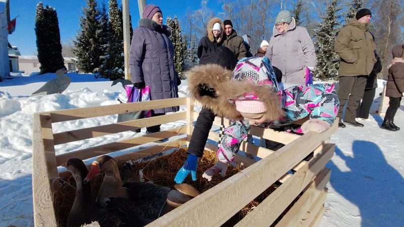 «Гусінае свята» вновь собрало гостей в Белой Дуброве