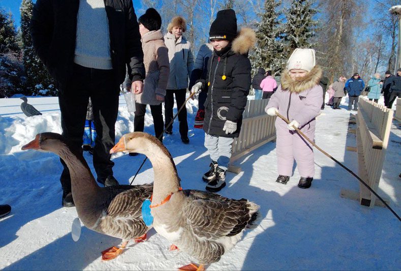 «Гусінае свята» вновь собрало гостей в Белой Дуброве