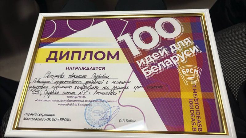 Свистунова Ангелина - победитель областного этапа республиканского молодежного проекта «100 идей для Беларуси»