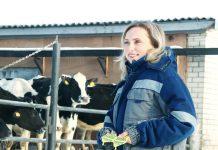 К каждой буренке у Татьяны Дроздовой – индивидуальный подход