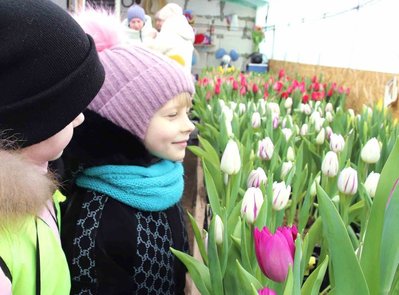 Костюковичские дошколята побывали в царстве тюльпанов