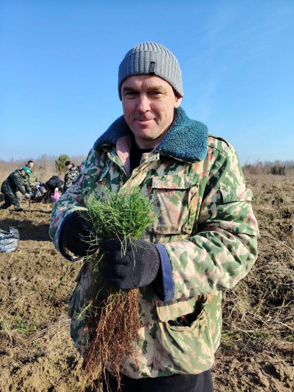 Первые гектары нового леса на Костюковщине