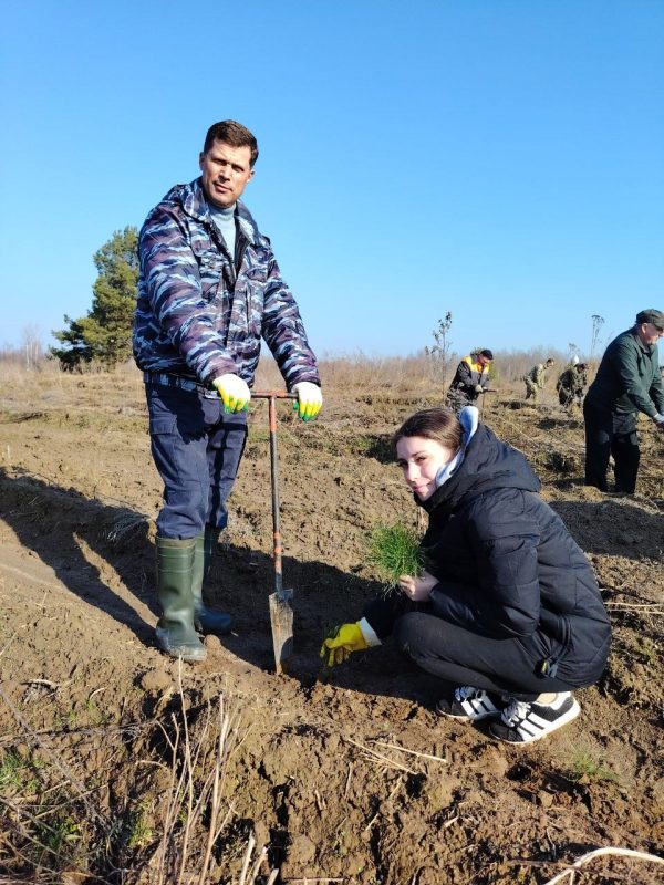 Первые гектары нового леса на Костюковщине