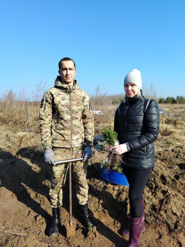 Первые гектары нового леса на Костюковщине