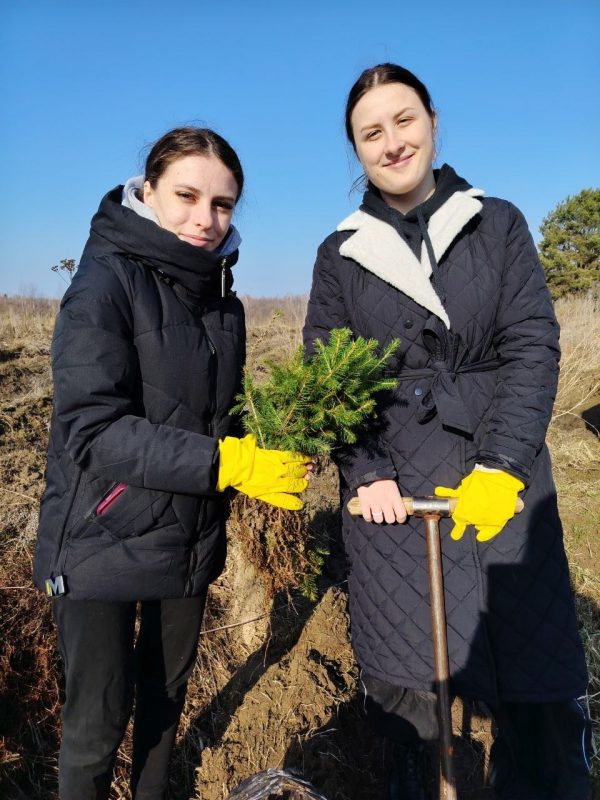 Первые гектары нового леса на Костюковщине