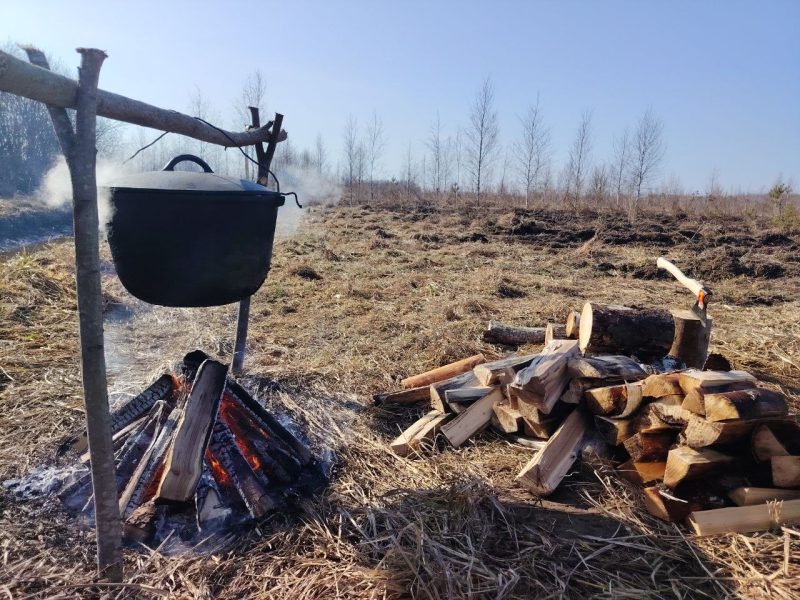 Первые гектары нового леса на Костюковщине