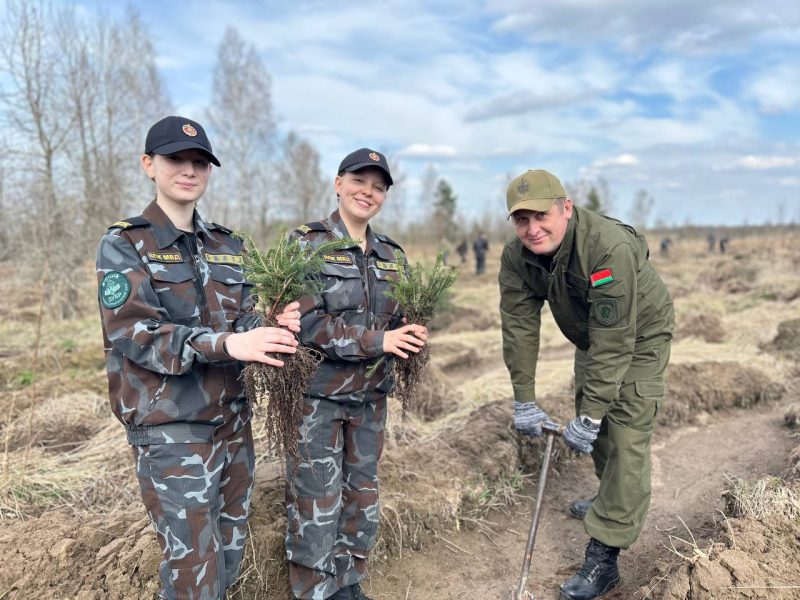 Вместе за природу: в Костюковичах прошла экологическая акция
