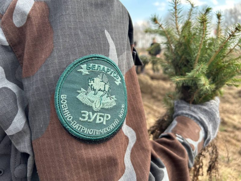 Вместе за природу: в Костюковичах прошла экологическая акция