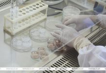 Белорусские ученые разработали препарат для борьбы с раком легких