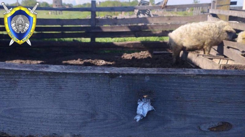 Отец случайно ранил 15-летнего сына из ружья