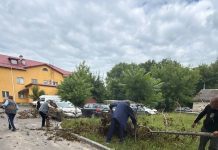 Подучетные лица приняли участие в наведении порядка