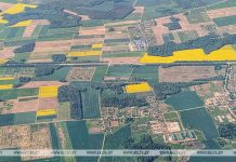 Земельная амнистия и упрощение процедур. Что изменилось в земельном законодательстве Беларуси