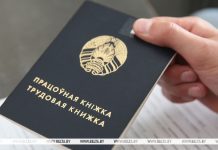 В Беларуси за полгода трудоустроились около 36 тыс. молодых людей