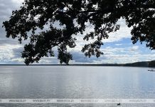 Семь детей утонули в водоемах Беларуси с начала года