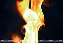 В Могилевской области за полгода число пожаров выросло на 29% по сравнению со средним показателем за пять лет