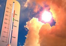 ВОЗ: из-за жары в Европе умерли более 200 тыс. человек за последние четыре года