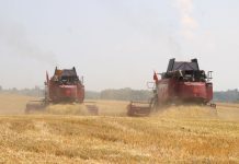 Профилактика правонарушений в сезон жатвы: как сохранить урожай