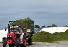 Хозяйства Костюковичского района начали второй укос трав