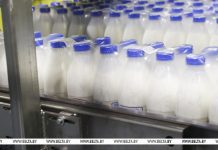 В Беларуси реализуют проект по частичной компенсации логистических расходов при экспорте продовольствия