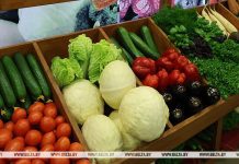 В каких областях Беларуси активнее всего развивается торговля, рассказали в МАРТ