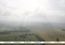 Воздушная и сухопутная составляющие военных сил у границ Беларуси уменьшились — Лукьянович