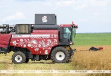 Женщины-комбайнеры из Минской области преодолели намолот в тысячу тонн зерна