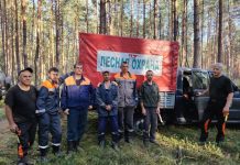 Пожар в Костюковичском лесхозе локализован