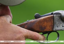 В Беларуси открыт сезон охоты на бобра и выдру