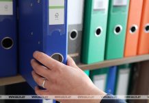 Налоговые органы Могилевской области за шесть месяцев выявили почти 10 млн сокрытой выручки