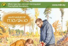 Костюковичский лесхоз проводит акцию «Дай лесу новае жыццё!»